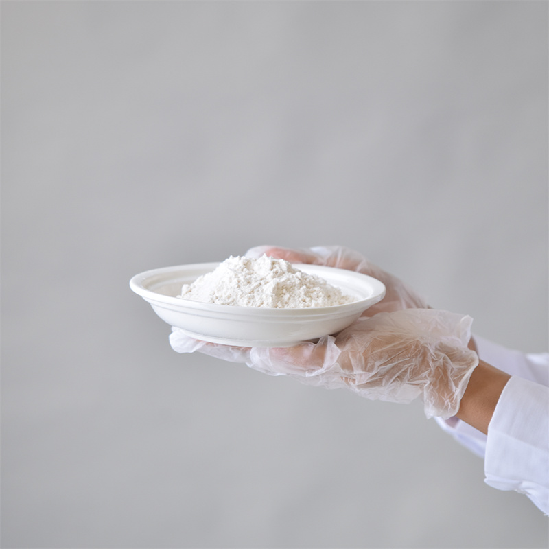 Adenosine 5â-triphosphate disodium salis CAS 987-65-5